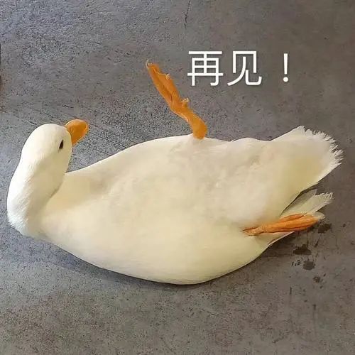 202305041431531713