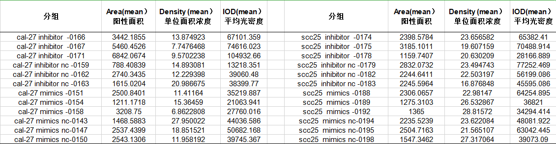 202308101504235008