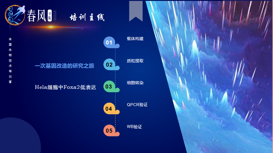【春風(fēng)學(xué)院】2023年全國(guó)生物醫(yī)學(xué)分子細(xì)胞實(shí)驗(yàn)技術(shù)特訓(xùn)營(yíng)開(kāi)班！為期5天