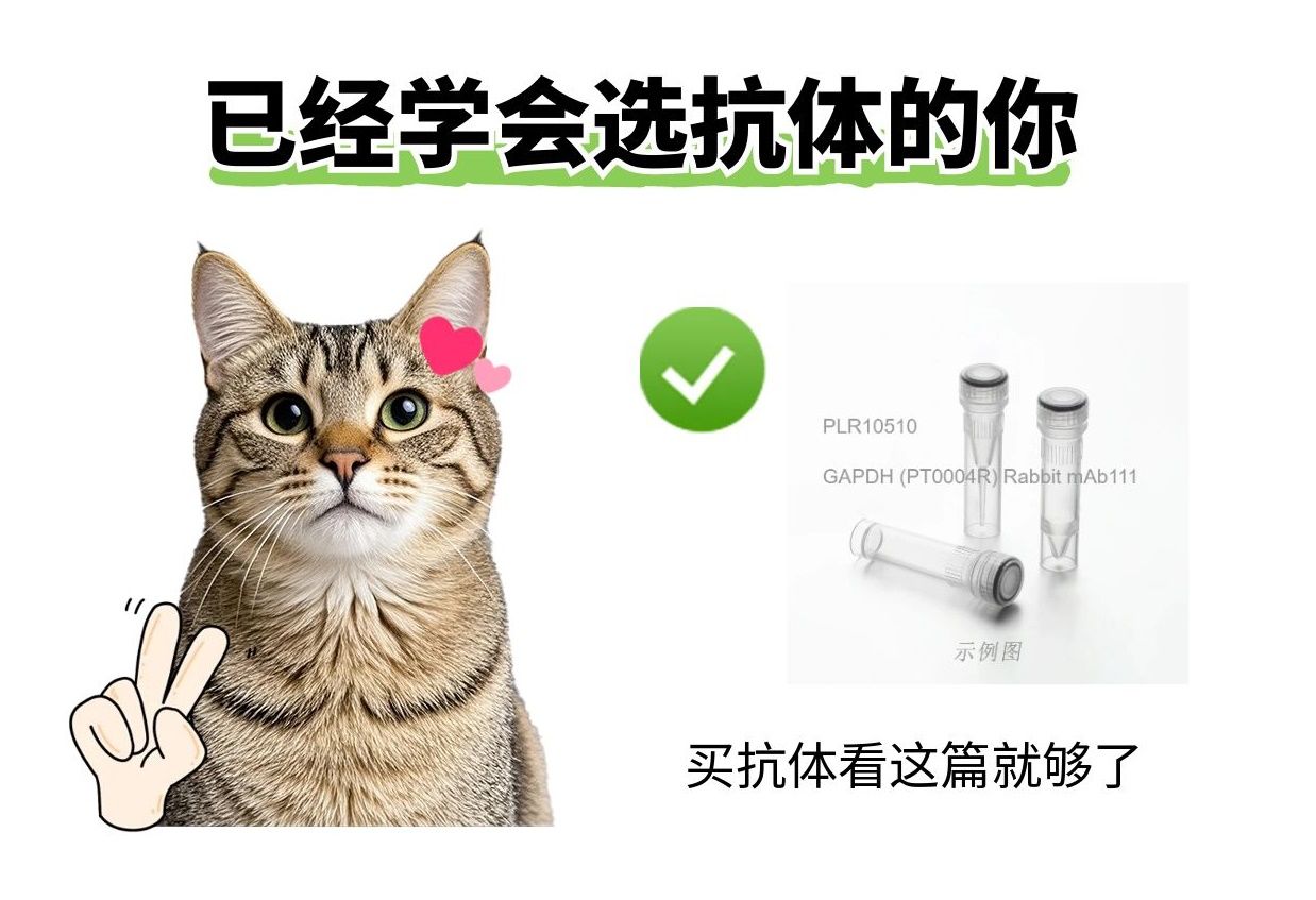 2025年了，我不允許還有人不知道抗體選哪家！