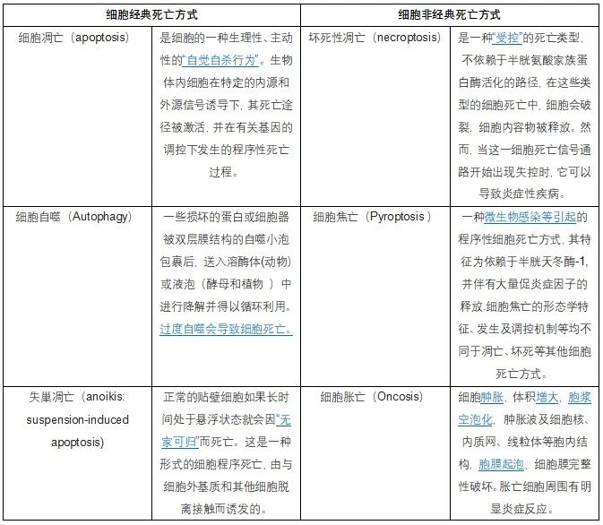 1623053675177366.jpg 官網(wǎng)1.jpg