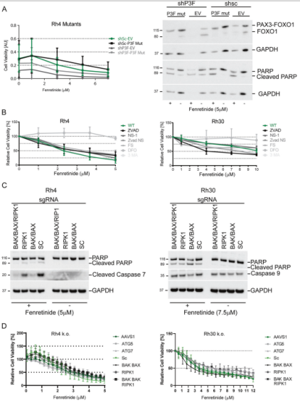 1623053727315988.png 官網(wǎng)4.png