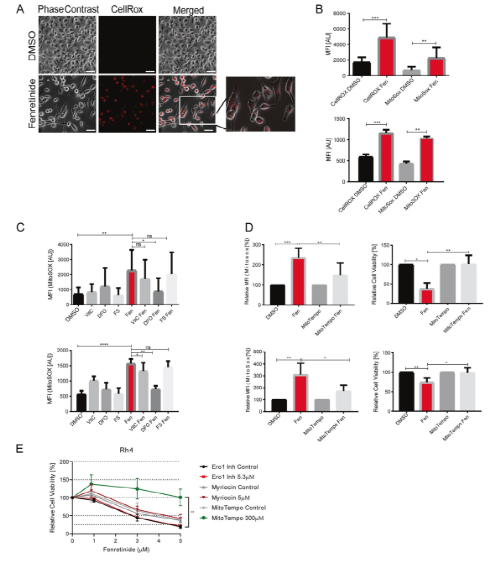 1623053741558189.png 官網(wǎng)5.png