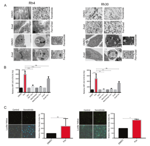 1623053769381557.png 官網(wǎng)7.png